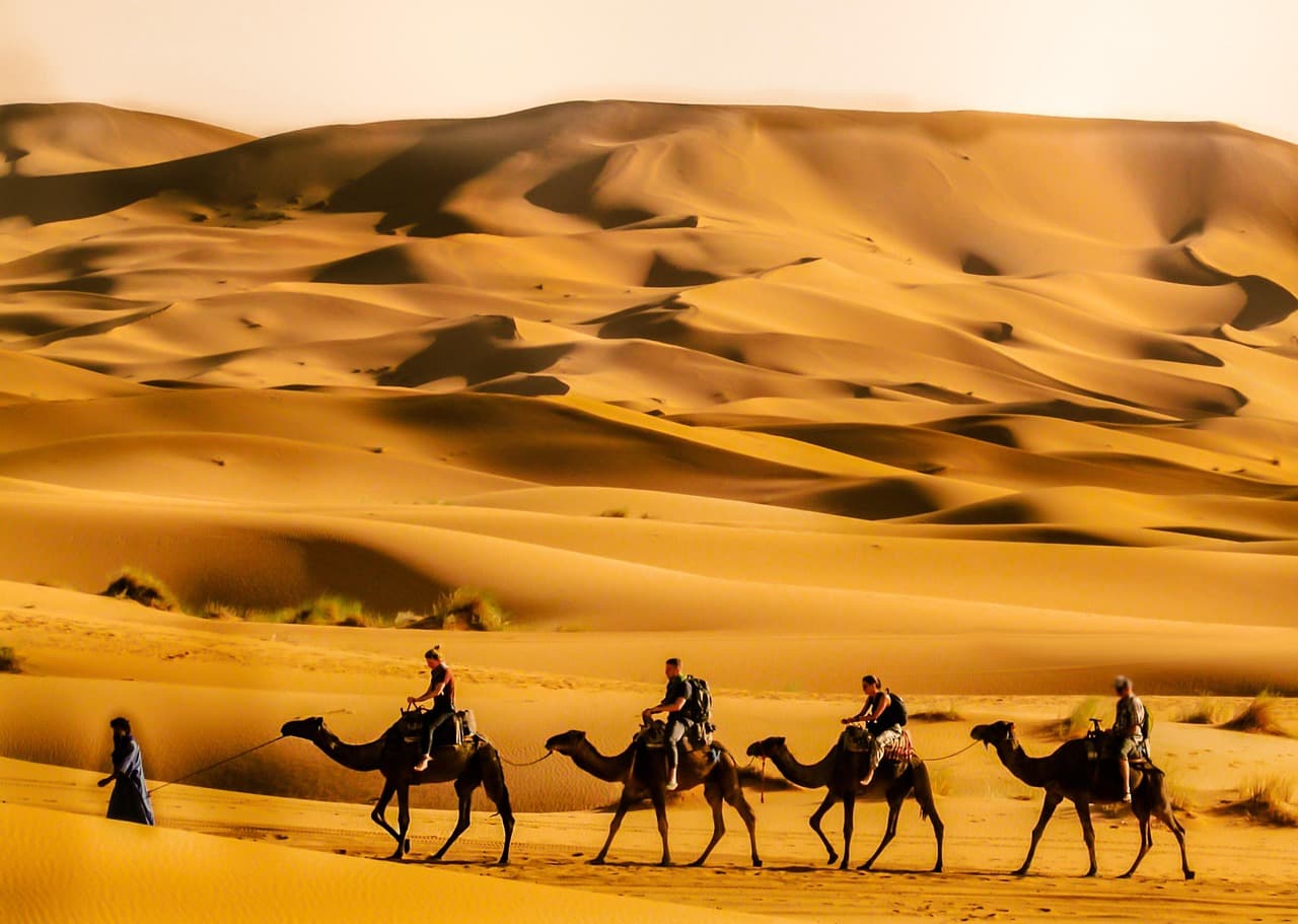 Sahara Desert Adventure